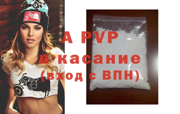 стаф Киренск
