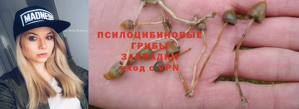 амф Козловка