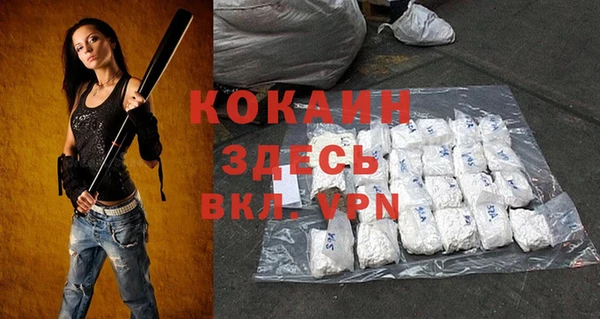 стаф Киренск