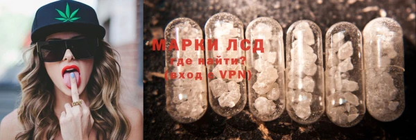 стаф Киренск