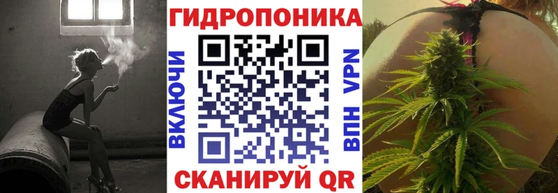Бошки марихуана Amnesia  Купить закладки  Новоалтайск 